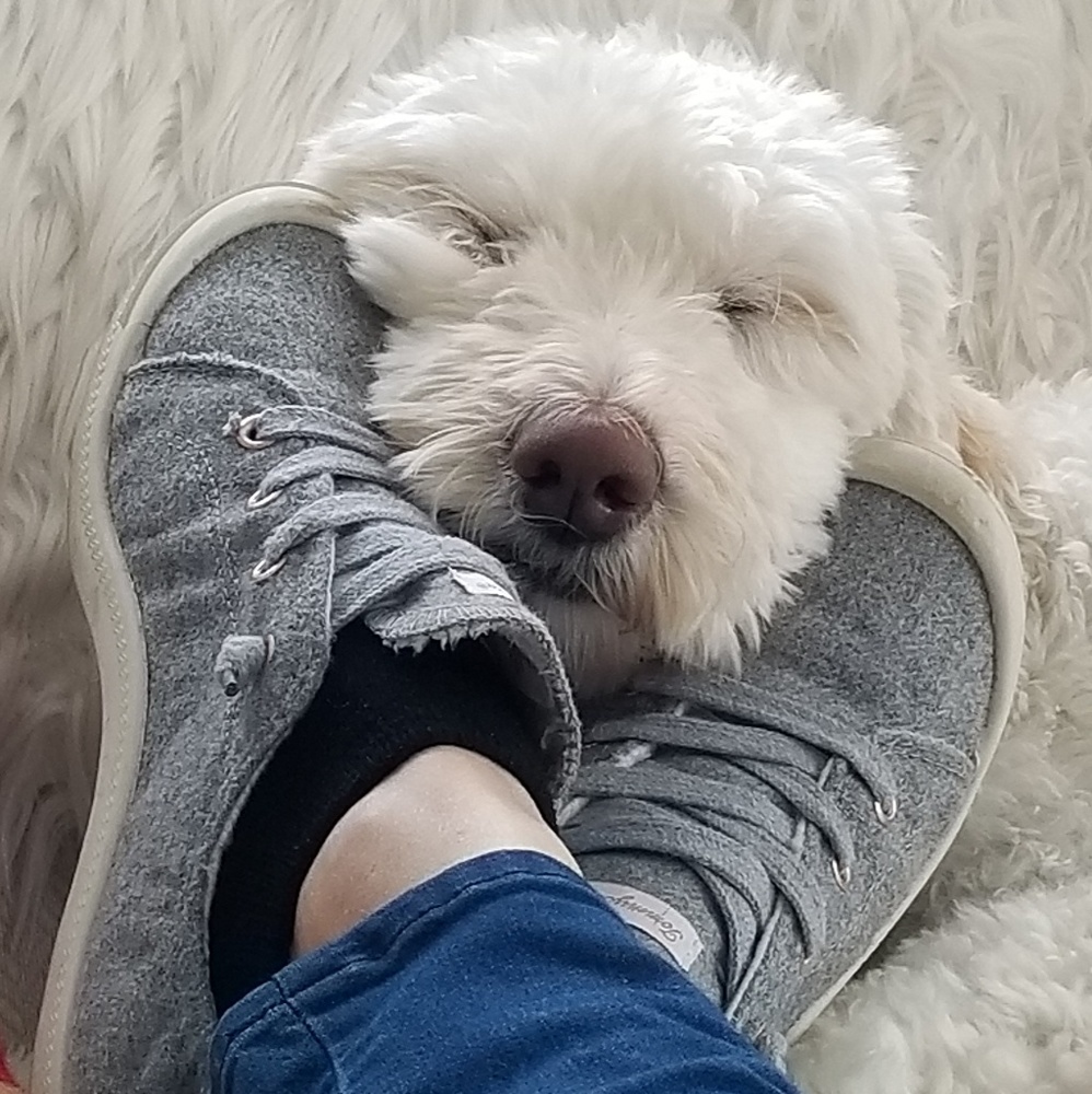 Meet your Posher, Kelly